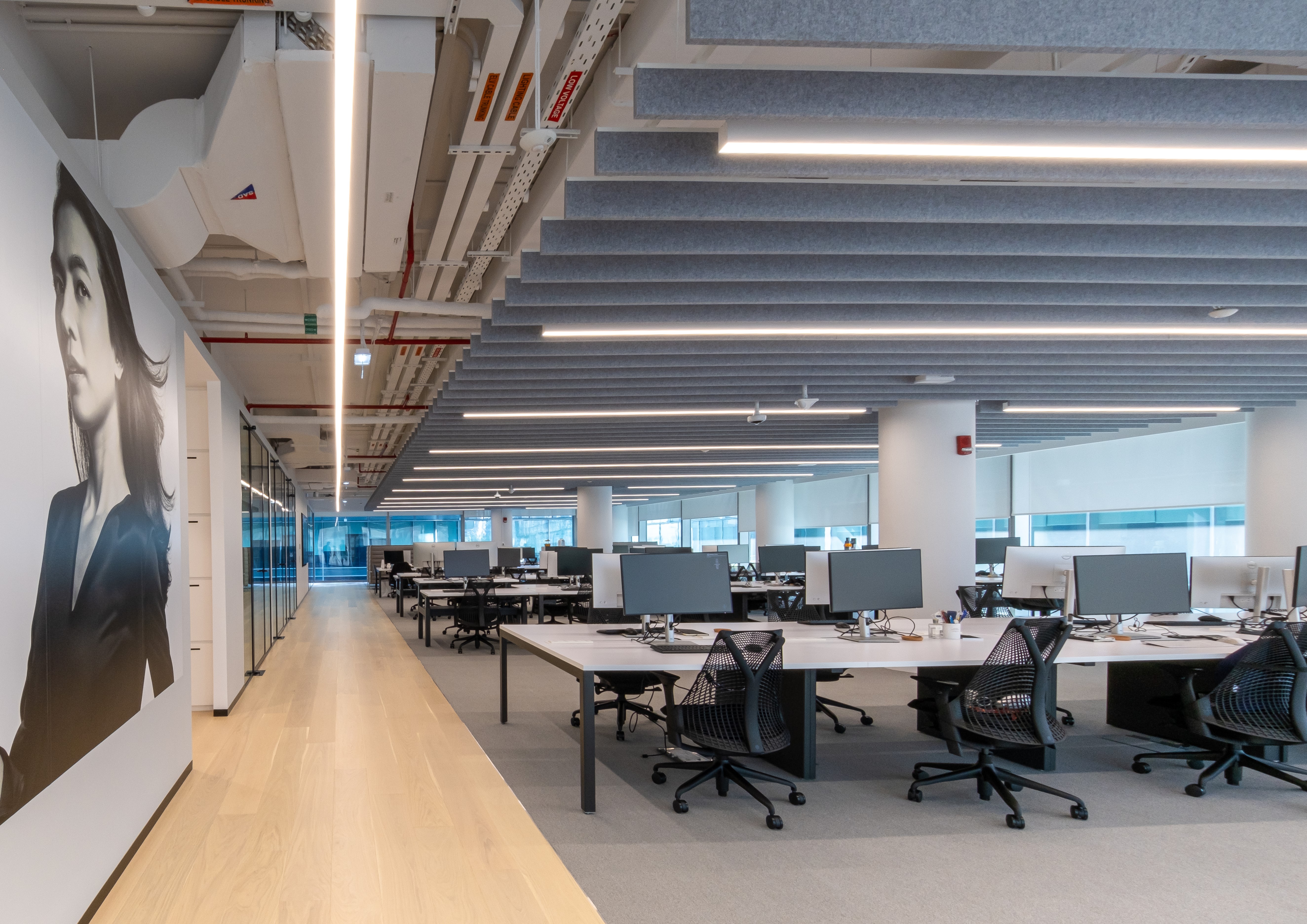 The Middle East and Africa dyson