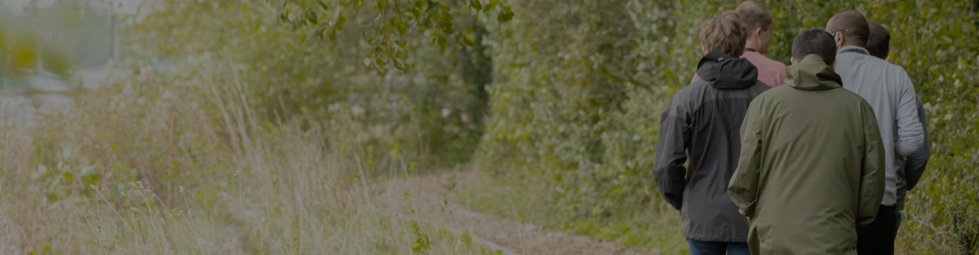Image of nature trail walk